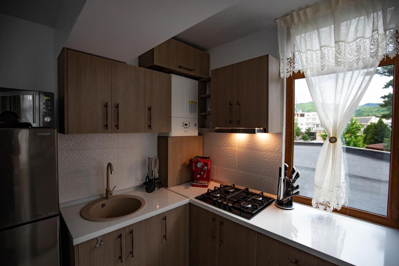 Apartament Natalia Tîrgu Ocna Eksteriør billede